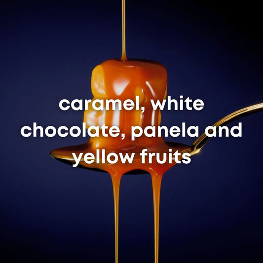 SUBSCRIPTION - CATURRA NATURAL