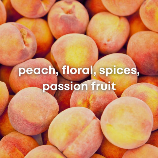 SUBSCRIPTION - MARACATURRA WASHED