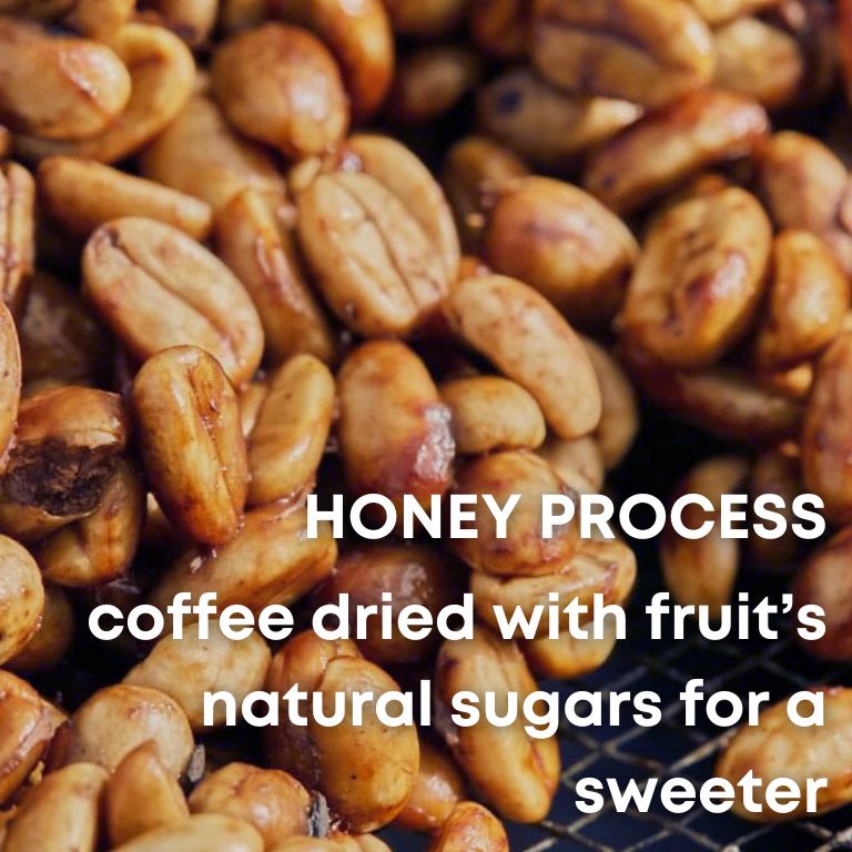 CATURRA HONEY