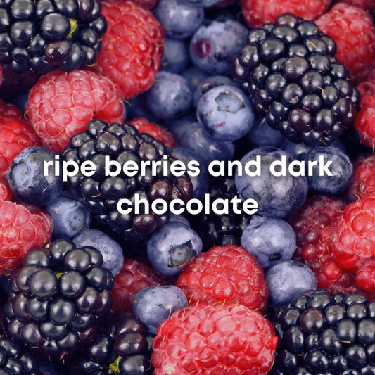 SUBSCRIPTION - MARACATURRA HONEY